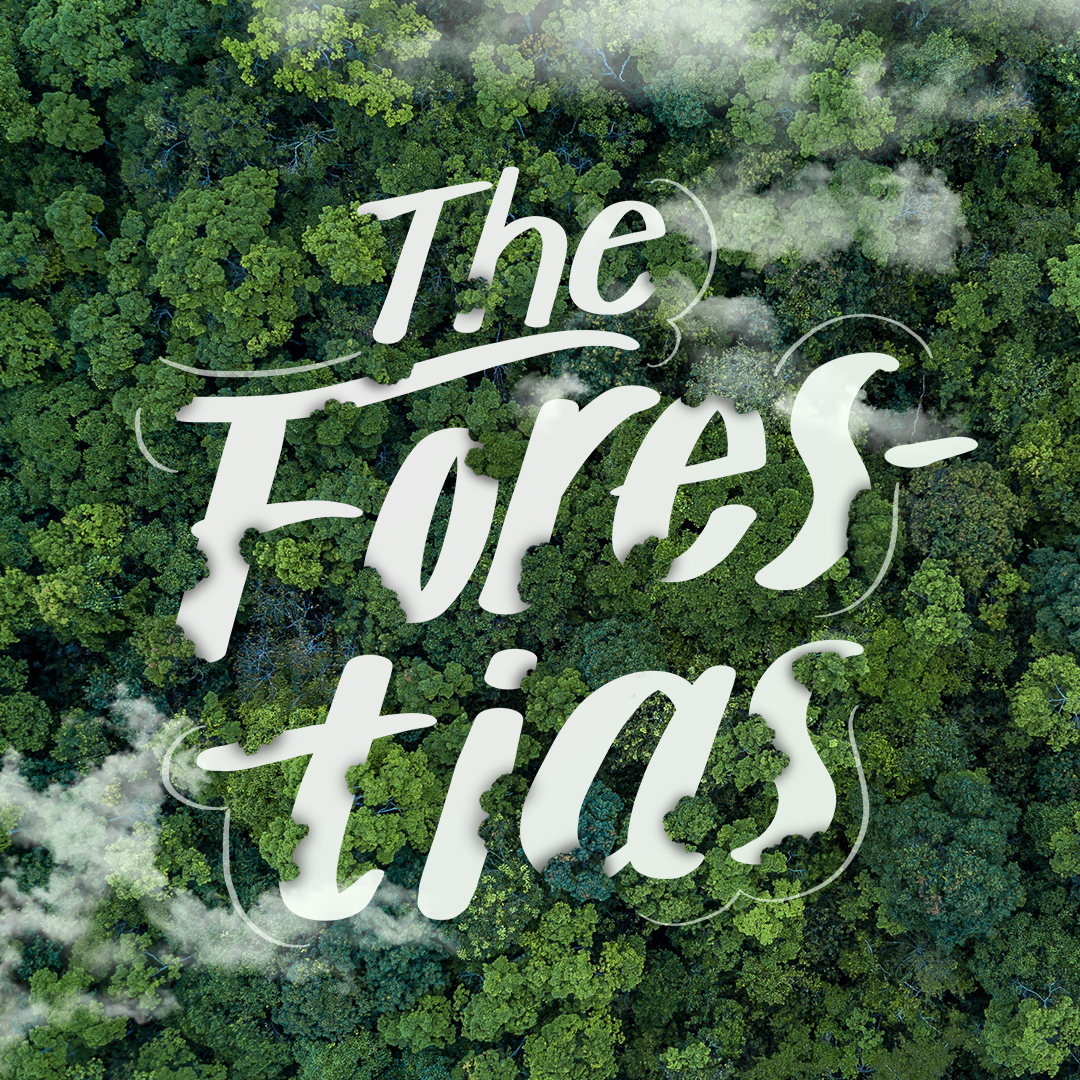 The Forestias : โครงการบ้านในป่า
