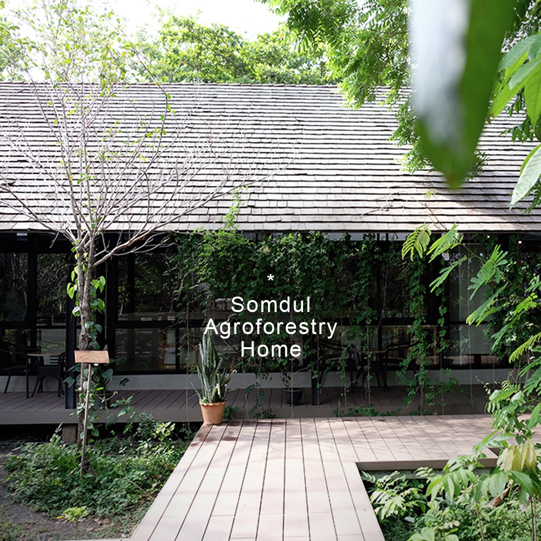 Somdul Agroforestry Home บ้านริมน้ำ วนเกษตร และคาเฟ่สุดชิล
