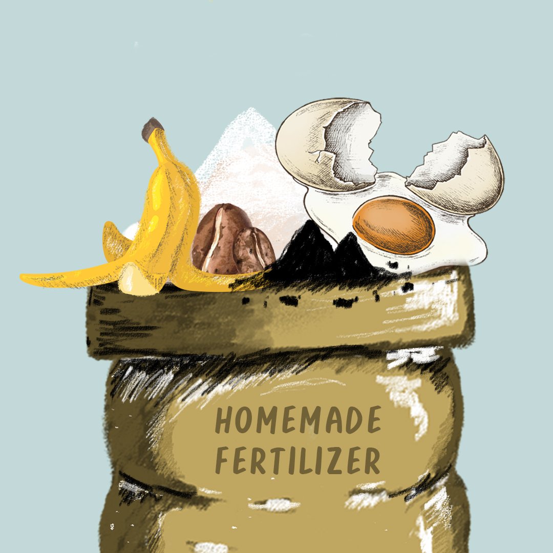 Homemade”ปุ๋ย”: ทำเองที่บ้าน จากวัสดุรอบตัว